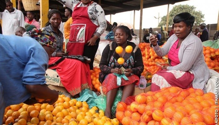 From Mbare to the Cloud: How TariAds is Redefining Buying and Selling in Zimbabwe