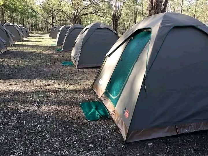 Tents